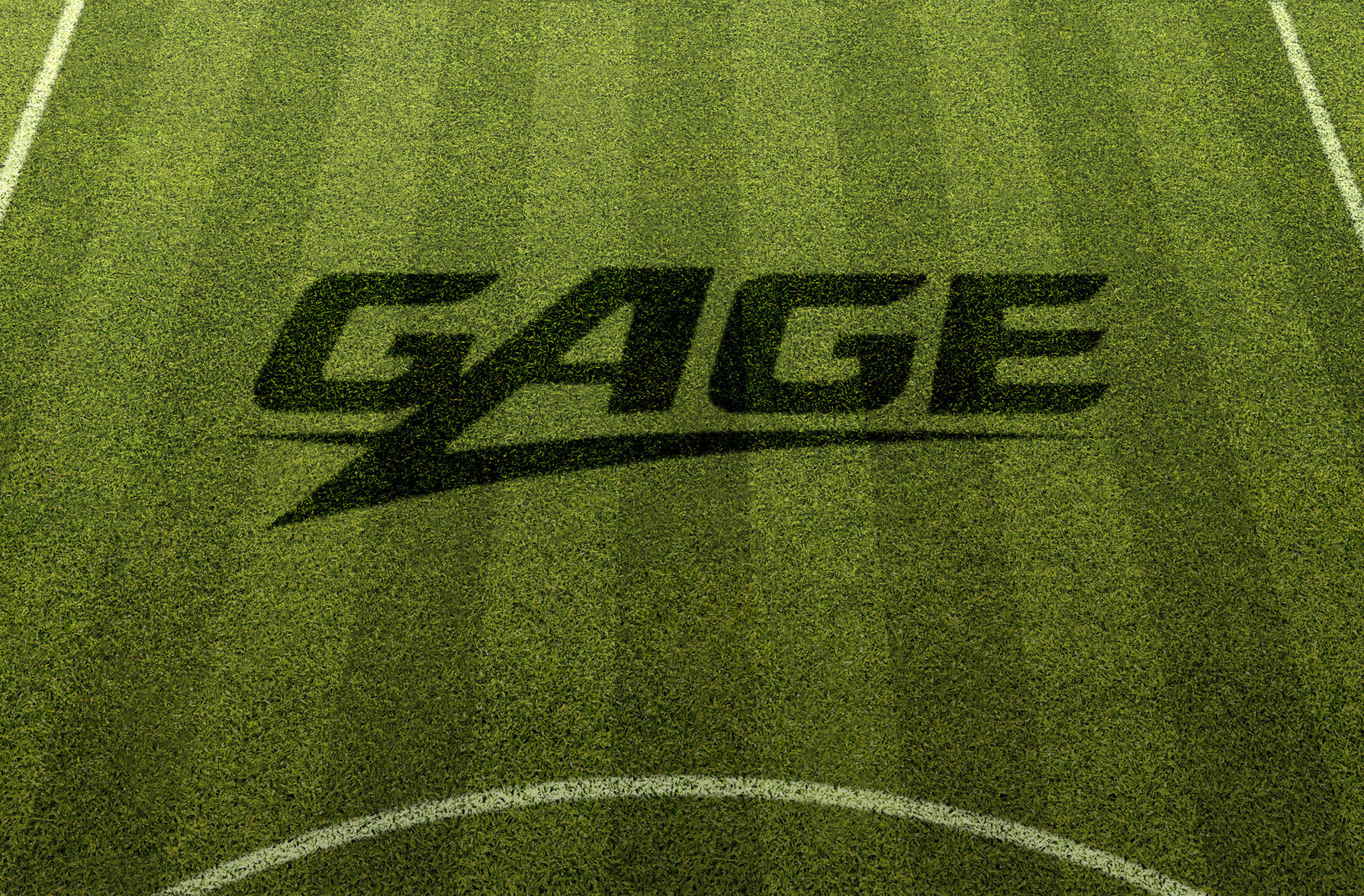 Gage Sports Management detail